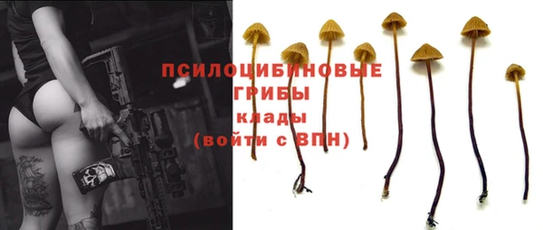 ГАЛЛЮЦИНОГЕННЫЕ ГРИБЫ Куйбышев