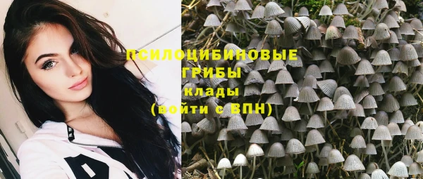 Альфа ПВП Ладушкин